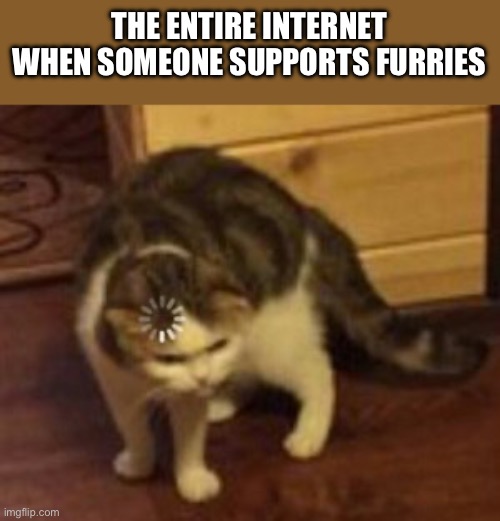 Loading cat | THE ENTIRE INTERNET WHEN SOMEONE SUPPORTS FURRIES | image tagged in loading cat | made w/ Imgflip meme maker