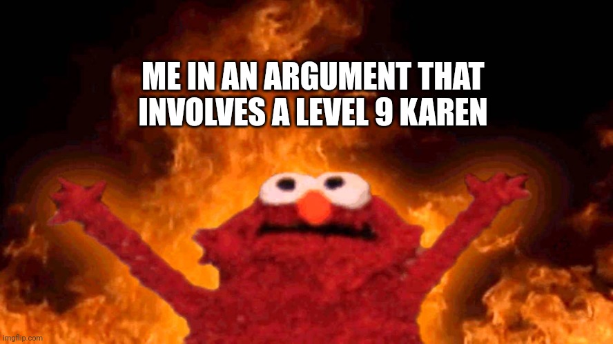 elmo fire | ME IN AN ARGUMENT THAT INVOLVES A LEVEL 9 KAREN | image tagged in elmo fire | made w/ Imgflip meme maker
