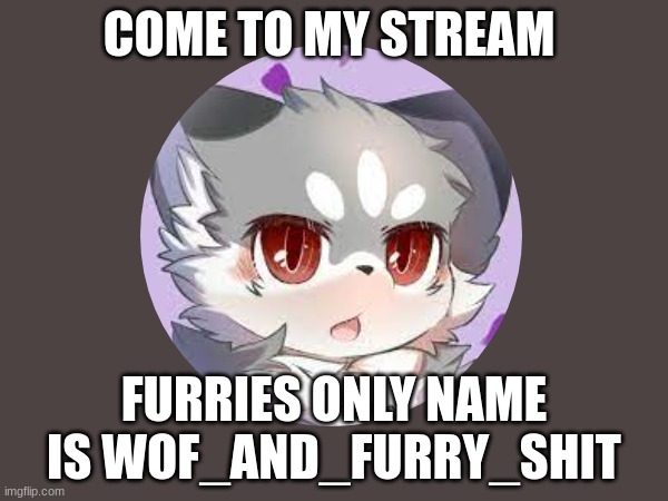 come to my stream | COME TO MY STREAM; FURRIES ONLY NAME IS WOF_AND_FURRY_SHIT | image tagged in furry | made w/ Imgflip meme maker