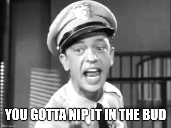 Barney Fife | YOU GOTTA NIP IT IN THE BUD | image tagged in barney fife | made w/ Imgflip meme maker