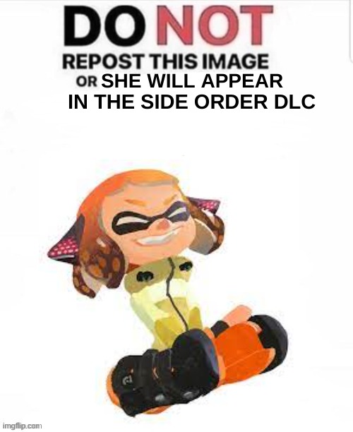 plz repost this | IN THE SIDE ORDER DLC; SHE WILL APPEAR | image tagged in do not repost this image or blank,splatoon | made w/ Imgflip meme maker