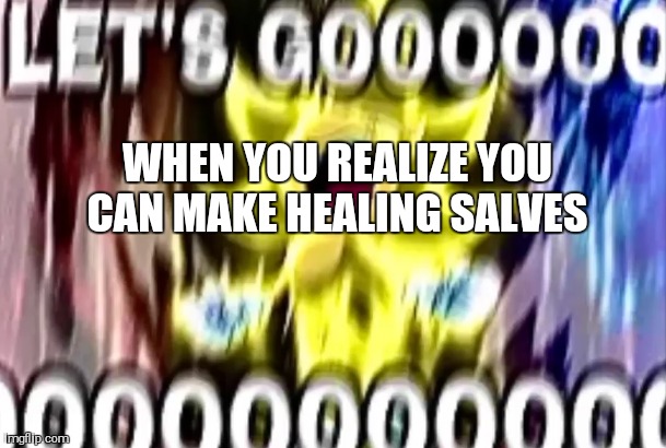 sonic lets gooooooooo | WHEN YOU REALIZE YOU CAN MAKE HEALING SALVES | image tagged in sonic lets gooooooooo | made w/ Imgflip meme maker