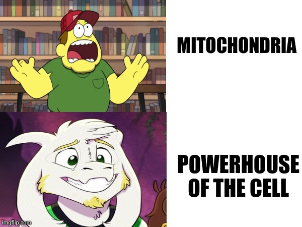 Powerhouse of the cell | MITOCHONDRIA; POWERHOUSE OF THE CELL | image tagged in screaming farmer then smiling goat,science,biology | made w/ Imgflip meme maker