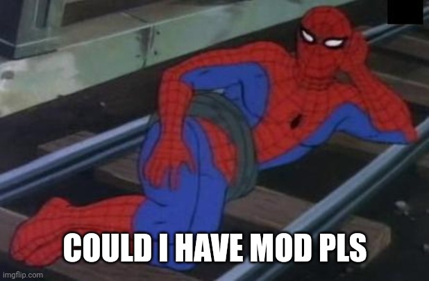 Pls | COULD I HAVE MOD PLS | image tagged in memes,sexy railroad spiderman,spiderman | made w/ Imgflip meme maker