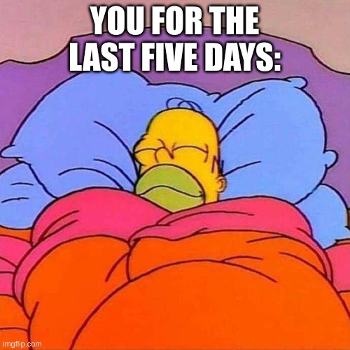 Homer Napping | YOU FOR THE LAST FIVE DAYS: | image tagged in homer napping | made w/ Imgflip meme maker