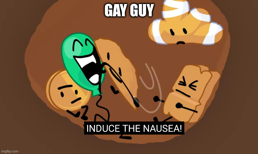 BFB INDUCE THE NAUSEA | GAY GUY | image tagged in bfb induce the nausea | made w/ Imgflip meme maker