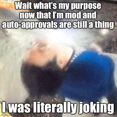 u | Wait what’s my purpose now that I’m mod and auto-approvals are still a thing; I was literally joking | image tagged in u | made w/ Imgflip meme maker