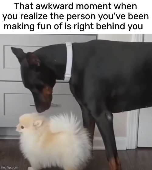 ohhh snap | That awkward moment when you realize the person you’ve been making fun of is right behind you | image tagged in funny,meme,awkward moment,right behind you | made w/ Imgflip meme maker
