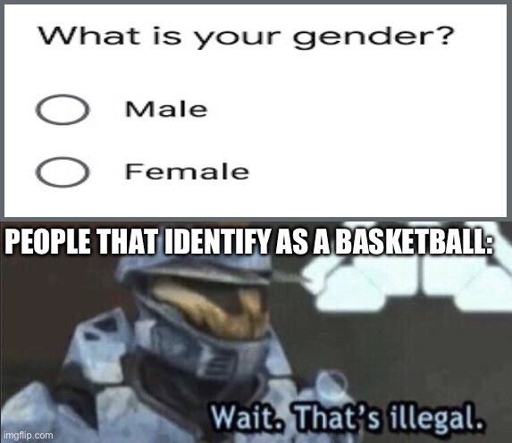 Wait that’s illegal | PEOPLE THAT IDENTIFY AS A BASKETBALL: | image tagged in wait that s illegal,you cant,wait thats illegal,wait that's illegal,meme | made w/ Imgflip meme maker