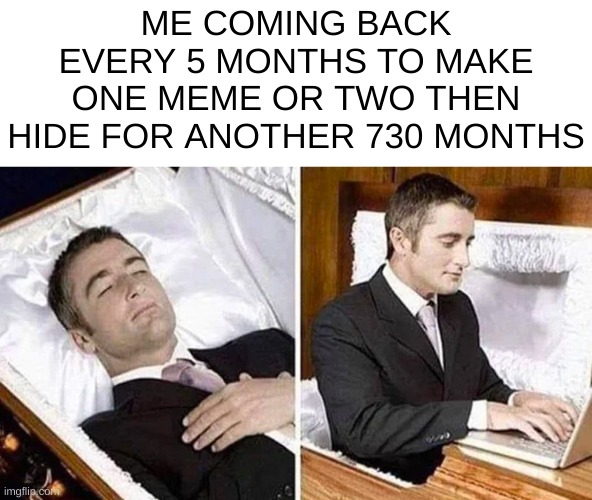 hehe | ME COMING BACK EVERY 5 MONTHS TO MAKE ONE MEME OR TWO THEN HIDE FOR ANOTHER 730 MONTHS | image tagged in deceased man in coffin typing | made w/ Imgflip meme maker