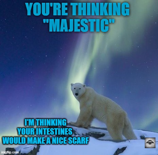 YOU'RE THINKING 
"MAJESTIC"; I'M THINKING YOUR INTESTINES 
WOULD MAKE A NICE SCARF | image tagged in polar bear | made w/ Imgflip meme maker
