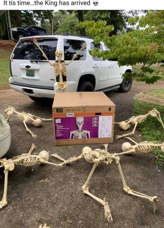 All hail the giant 12 foot skeleton | image tagged in memes,funny | made w/ Imgflip meme maker