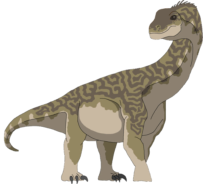 Camarasaurus (Female) Blank Meme Template