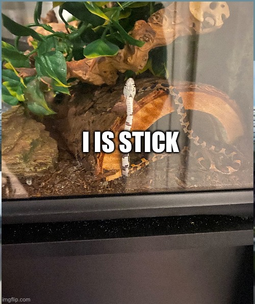I is stick | I IS STICK | image tagged in memes,left exit 12 off ramp | made w/ Imgflip meme maker