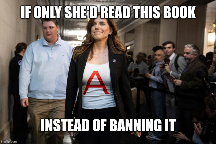 It doesn't mean what she thinks it means | IF ONLY SHE'D READ THIS BOOK; INSTEAD OF BANNING IT | made w/ Imgflip meme maker