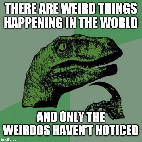 I Am Not A Weirdo! | THERE ARE WEIRD THINGS HAPPENING IN THE WORLD; AND ONLY THE WEIRDOS HAVEN'T NOTICED | image tagged in memes,philosoraptor | made w/ Imgflip meme maker