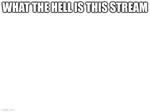 (Mod note:Femboy that's what) | WHAT THE HELL IS THIS STREAM | made w/ Imgflip meme maker