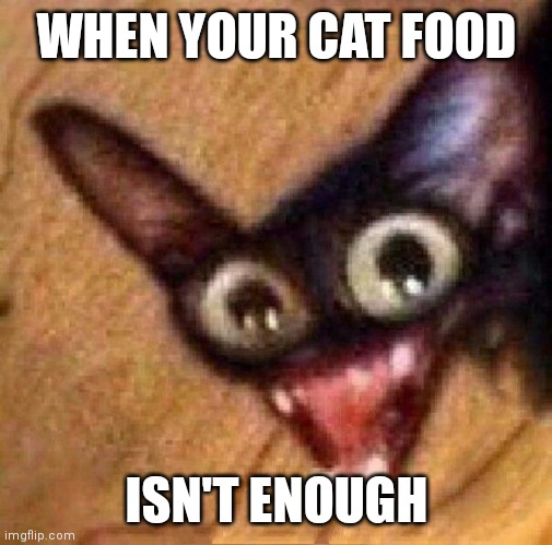 He is angwy | WHEN YOUR CAT FOOD; ISN'T ENOUGH | image tagged in angry cat,funny | made w/ Imgflip meme maker