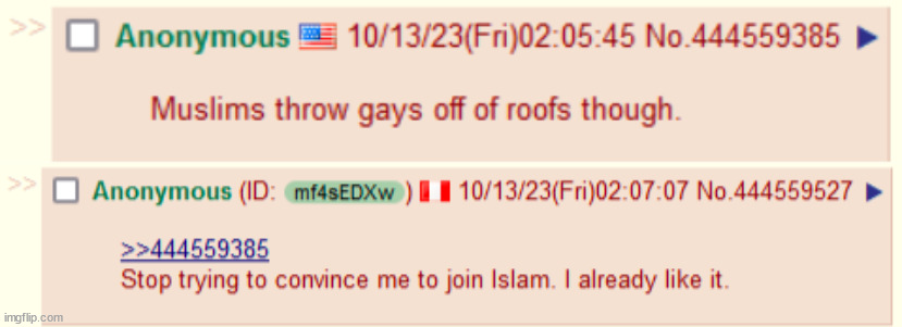 anon loves islam because it is against sodomy | image tagged in 4chan,w,islam | made w/ Imgflip meme maker