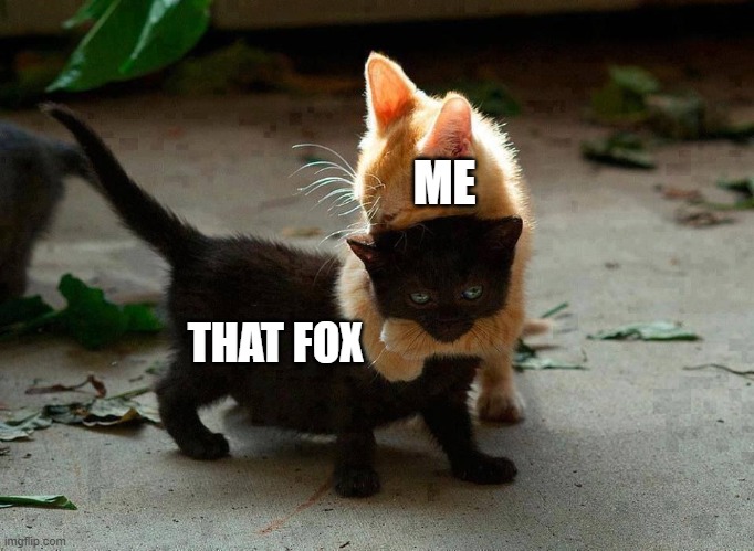 kitten hug | ME THAT FOX | image tagged in kitten hug | made w/ Imgflip meme maker