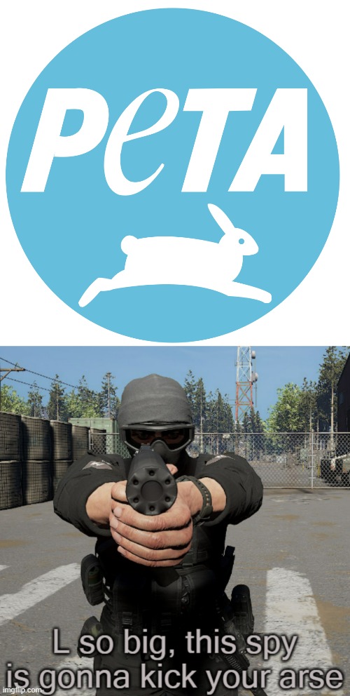 I can tell you how much i hate Peta. my mom said she once heard Peta committed a bombing. | image tagged in peta,anti furry,furry,mad | made w/ Imgflip meme maker