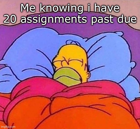 we are all guilty of this | Me knowing i have 20 assignments past due | image tagged in homer simpson sleeping peacefully | made w/ Imgflip meme maker