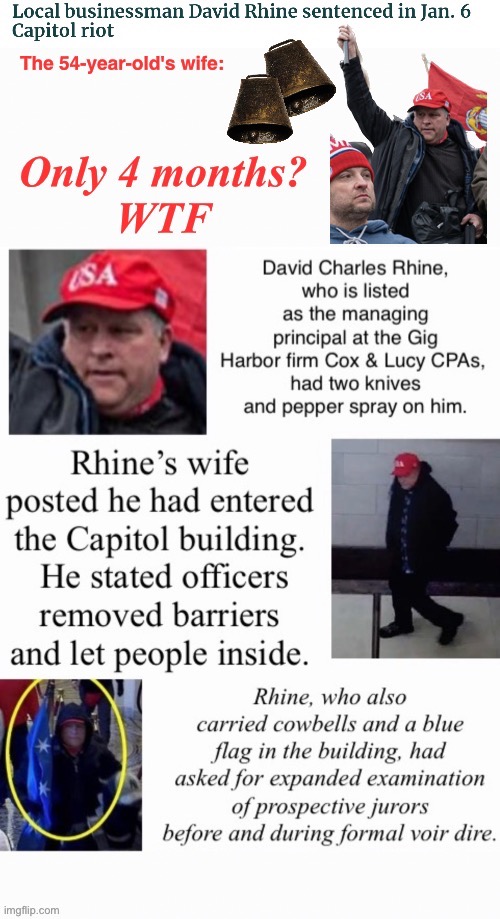 The Mrs. Rhine whine | image tagged in domestic terrorists,treason,tuff guy when in a crowd,he sells cow bells by the capitol door,stabled but not tended 54 | made w/ Imgflip meme maker