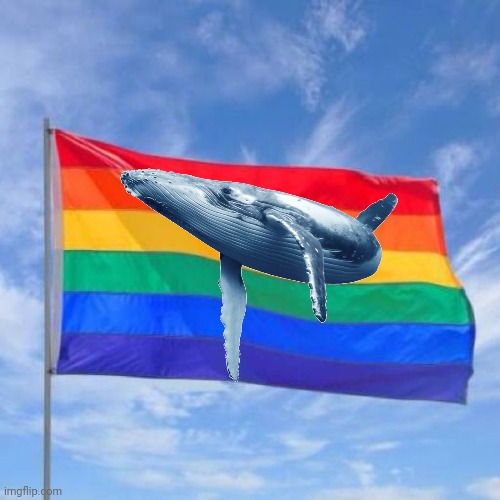 Gay pride flag | image tagged in gay pride flag | made w/ Imgflip meme maker