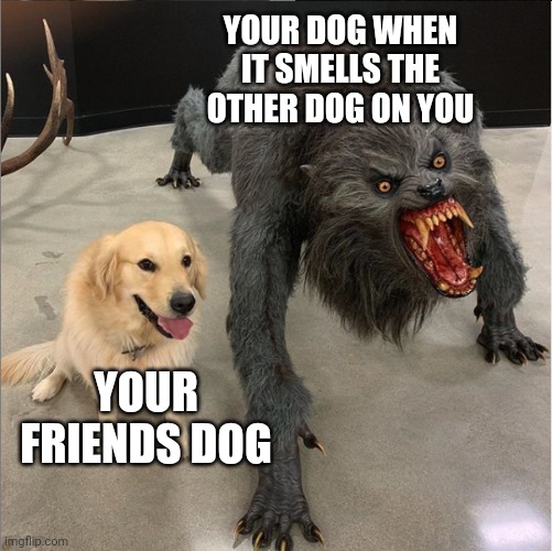 dog vs werewolf | YOUR DOG WHEN IT SMELLS THE OTHER DOG ON YOU; YOUR FRIENDS DOG | image tagged in dog vs werewolf | made w/ Imgflip meme maker