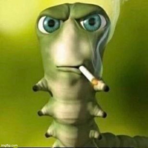 Smokeing bug | image tagged in serio to smerfastycznie,memes,funny | made w/ Imgflip meme maker