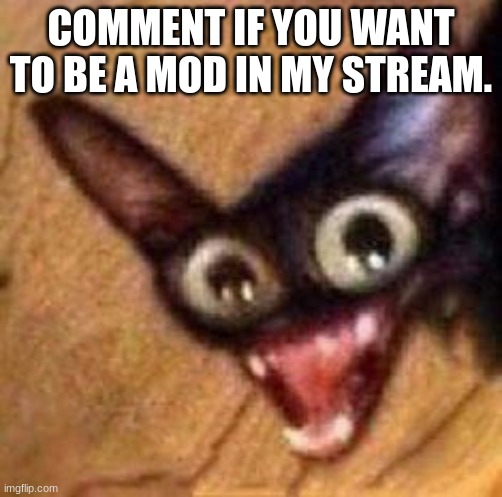 It doesn't have anyone in it but I'm trying to get some people. | COMMENT IF YOU WANT TO BE A MOD IN MY STREAM. | made w/ Imgflip meme maker