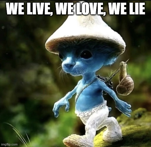 Blue Smurf cat | WE LIVE, WE LOVE, WE LIE | image tagged in blue smurf cat | made w/ Imgflip meme maker