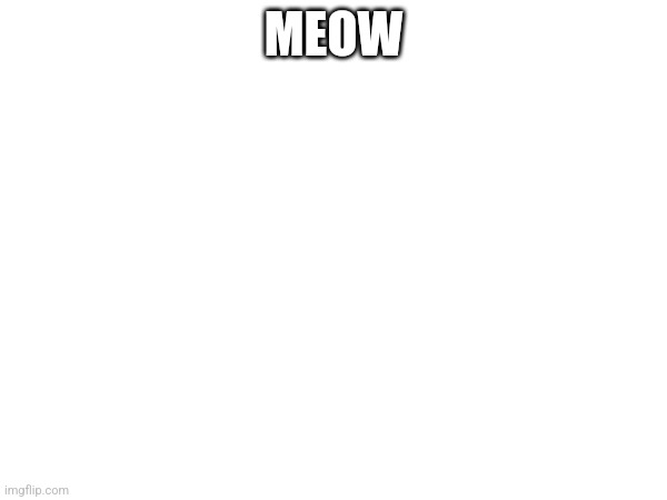 MEOW | made w/ Imgflip meme maker