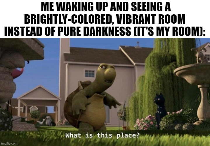 We can all relate to this, right? | ME WAKING UP AND SEEING A BRIGHTLY-COLORED, VIBRANT ROOM INSTEAD OF PURE DARKNESS (IT'S MY ROOM): | image tagged in what is this place,memes,relatable,so true memes,mornings | made w/ Imgflip meme maker