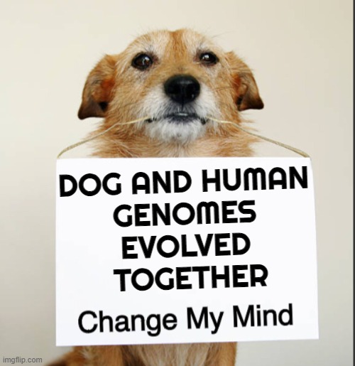 Dogs and Humans Are Evolutionary Partners | DOG AND HUMAN 
GENOMES 
EVOLVED 
TOGETHER | image tagged in change my mind dog,evolution,dogs,humans,human evolution,genetics | made w/ Imgflip meme maker