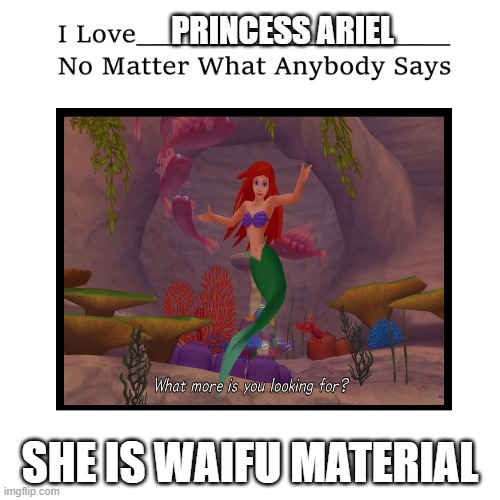 i love princess ariel no matter what anybody says | PRINCESS ARIEL; SHE IS WAIFU MATERIAL | image tagged in i love no matter what anybody says,waifu,ariel,the little mermaid,i love you | made w/ Imgflip meme maker