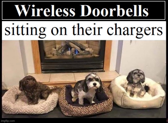 Canines R Us | image tagged in vince vance,dogs,barking,memes,wireless,door bell | made w/ Imgflip meme maker