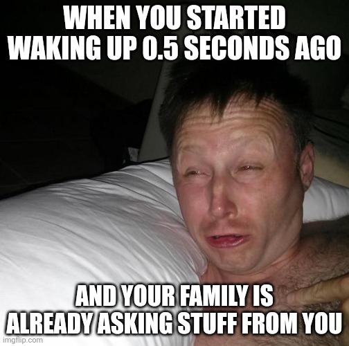 Limmy waking up | WHEN YOU STARTED WAKING UP 0.5 SECONDS AGO; AND YOUR FAMILY IS ALREADY ASKING STUFF FROM YOU | image tagged in limmy waking up | made w/ Imgflip meme maker