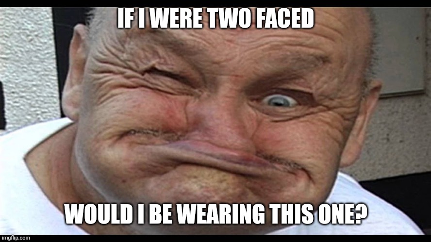 Ugly | IF I WERE TWO FACED; WOULD I BE WEARING THIS ONE? | image tagged in ugly | made w/ Imgflip meme maker