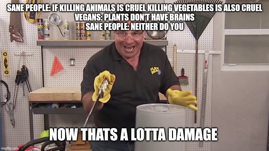 Honestly being vegan is stupid | SANE PEOPLE: IF KILLING ANIMALS IS CRUEL KILLING VEGETABLES IS ALSO CRUEL
VEGANS: PLANTS DON'T HAVE BRAINS
SANE PEOPLE: NEITHER DO YOU; NOW THATS A LOTTA DAMAGE | image tagged in now that's a lot of damage,vegan | made w/ Imgflip meme maker