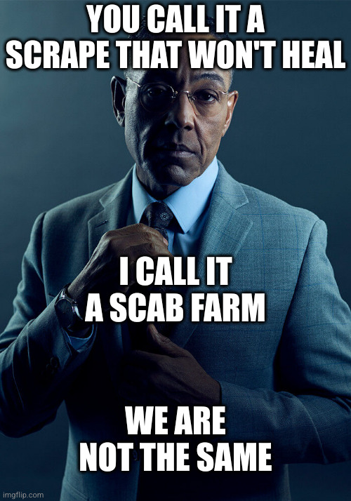 You're saying if I keep picking at it it'll never heal? Awesome! | YOU CALL IT A SCRAPE THAT WON'T HEAL; I CALL IT A SCAB FARM; WE ARE NOT THE SAME | image tagged in gus fring we are not the same | made w/ Imgflip meme maker