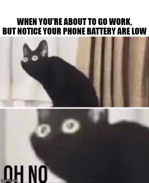 A lesson to all; Always watch your phone battery | WHEN YOU'RE ABOUT TO GO WORK, BUT NOTICE YOUR PHONE BATTERY ARE LOW | image tagged in oh no cat,phone,memes,true | made w/ Imgflip meme maker