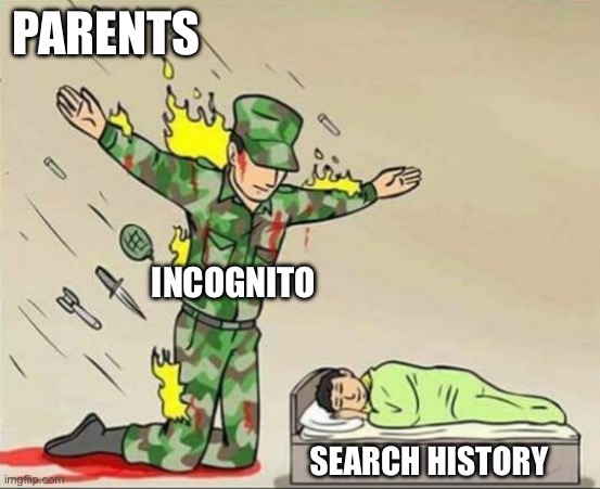 WAKE UP PLEASEEEE | PARENTS; INCOGNITO; SEARCH HISTORY | image tagged in soldier protecting sleeping child | made w/ Imgflip meme maker