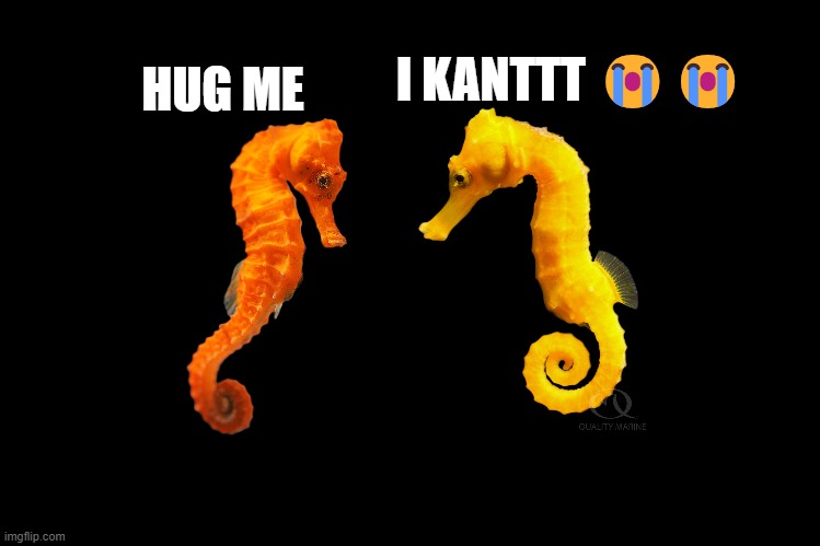KANT | I KANTTT 😭😭; HUG ME | image tagged in animals | made w/ Imgflip meme maker
