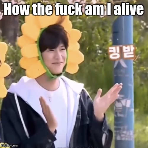 Just pretty tired/sleepy rn, hi | How the fuck am I alive | made w/ Imgflip meme maker