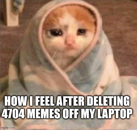 it was sad | HOW I FEEL AFTER DELETING 4704 MEMES OFF MY LAPTOP | image tagged in sad,memes,how i feel | made w/ Imgflip meme maker