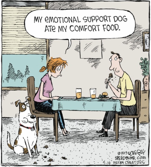 image tagged in memes,comics/cartoons,support,dog,comfort,food | made w/ Imgflip meme maker