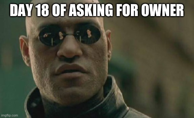 Matrix Morpheus Meme | DAY 18 OF ASKING FOR OWNER | image tagged in memes,matrix morpheus | made w/ Imgflip meme maker