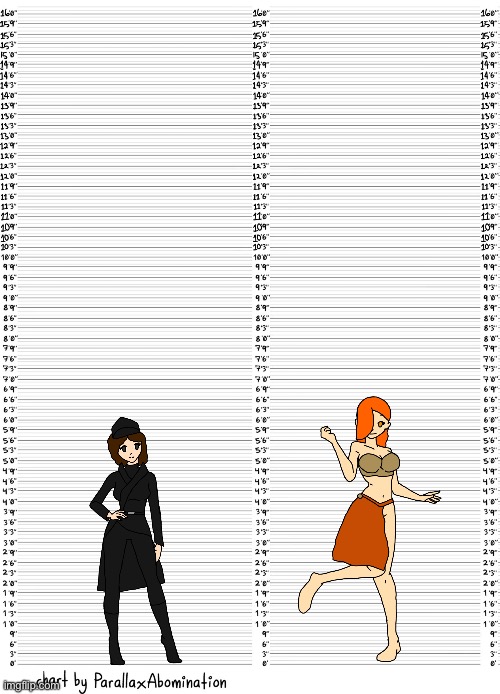 Oracle is 5’3 making her taller than Inkmatas by one inch | image tagged in character height template | made w/ Imgflip meme maker