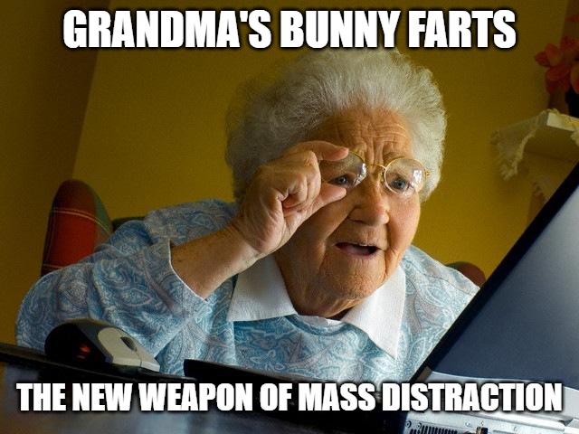 Grandma Finds The Internet | GRANDMA'S BUNNY FARTS; THE NEW WEAPON OF MASS DISTRACTION | image tagged in memes,grandma finds the internet | made w/ Imgflip meme maker